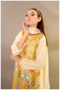 salma amir