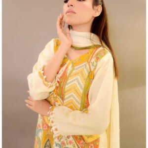 salma amir